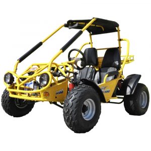 TrailMaster 200 XRS GoKart