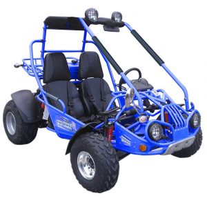 TrailMaster 200 XRX GoKart