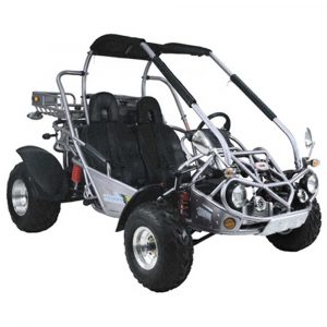 TrailMaster 300 XRX-E GoKart