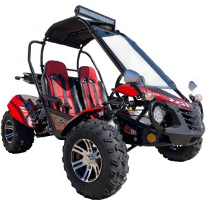 TrailMaster Blazer 200EX GoKart