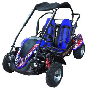 TrailMaster Blazer 200R GoKart