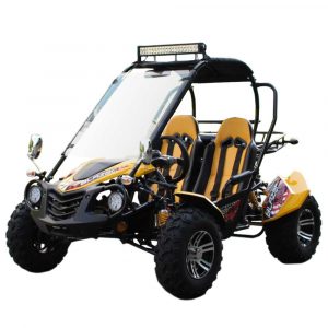 TrailMaster Blazer 200X Full Size GoKart