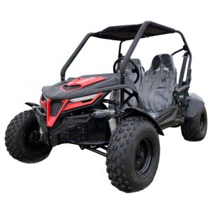 TrailMaster Cheetah 200 GoKart