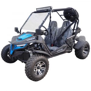 TrailMaster Cheetah 200EX GoKart