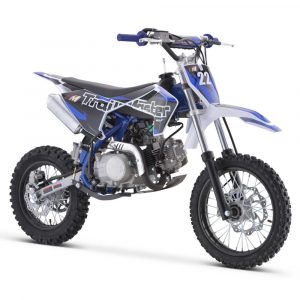 TrailMaster TM22 Mid-Size Dirt Bike