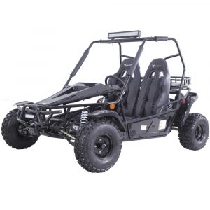 Tao Baja Sport 200 GoKart