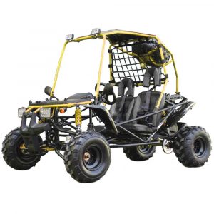 Vitacci Pathfinder 200 GoKart