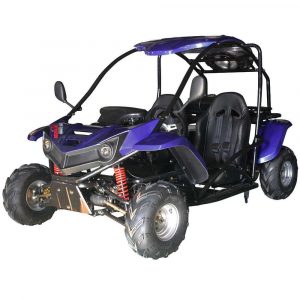 Vitacci T-Rex 125 Youth GoKart